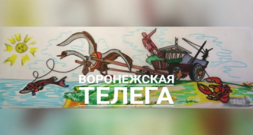 Воронежские политики Рымарь и Хамин интереснее депутатов Госдумы Березина и Гаврилова