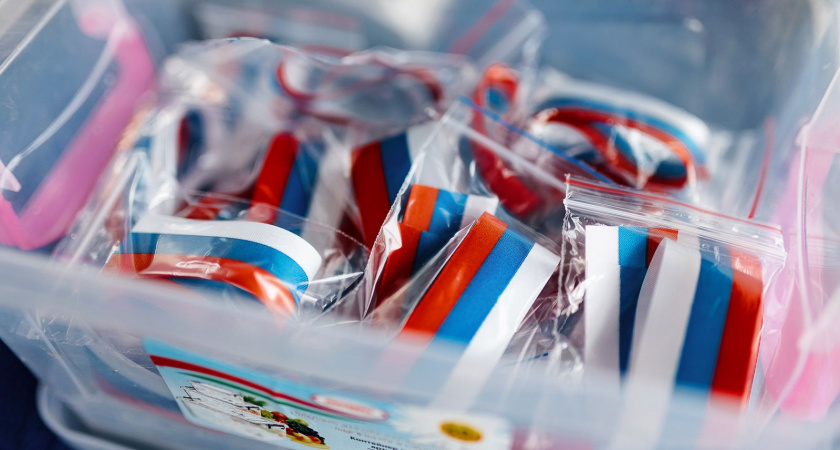 В маршрутках Воронежа ко Дню России проведут акцию «Ленточка-триколор»