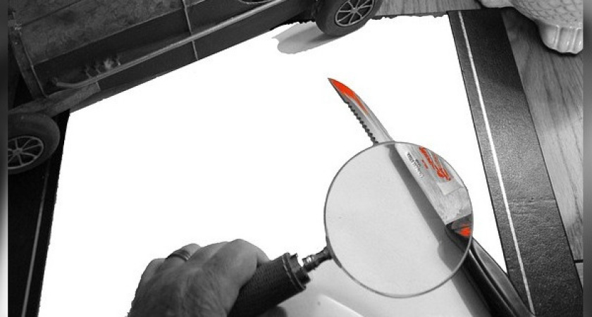 В Воронеже получила лицензию первая женщина-сыщик