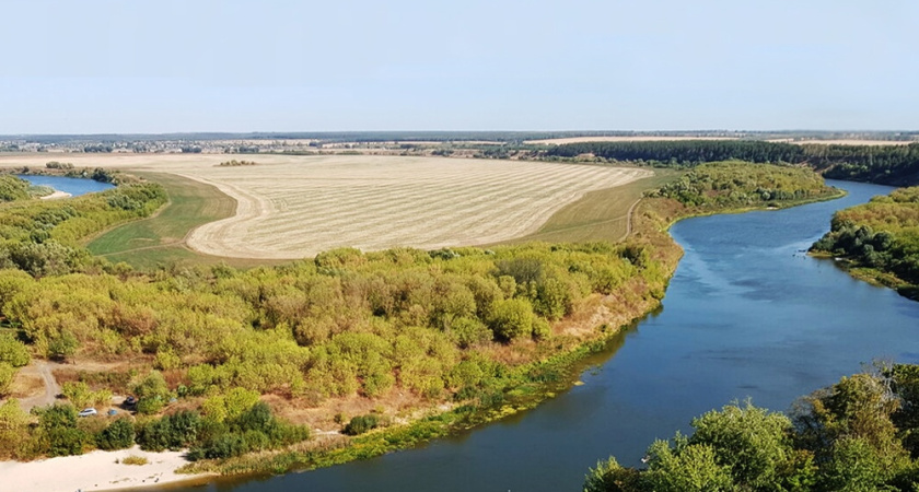 Воронежские экологи поддержали инициативу об уборке береговых полос реки Дон от мусора 