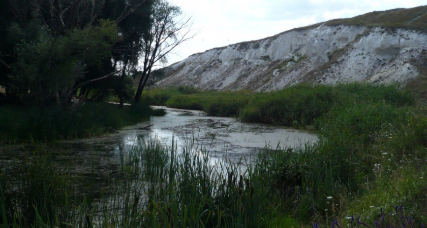 В Воронежской области за 52,4 млн рублей расчистят русло реки Подгорная в 3,7 км