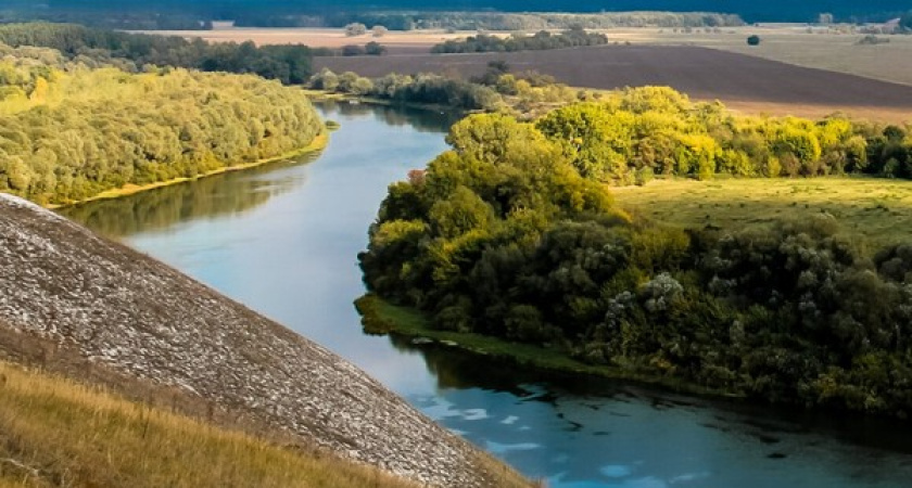 Росприроднадзор проверит состояние реки Дон в Воронежской области 