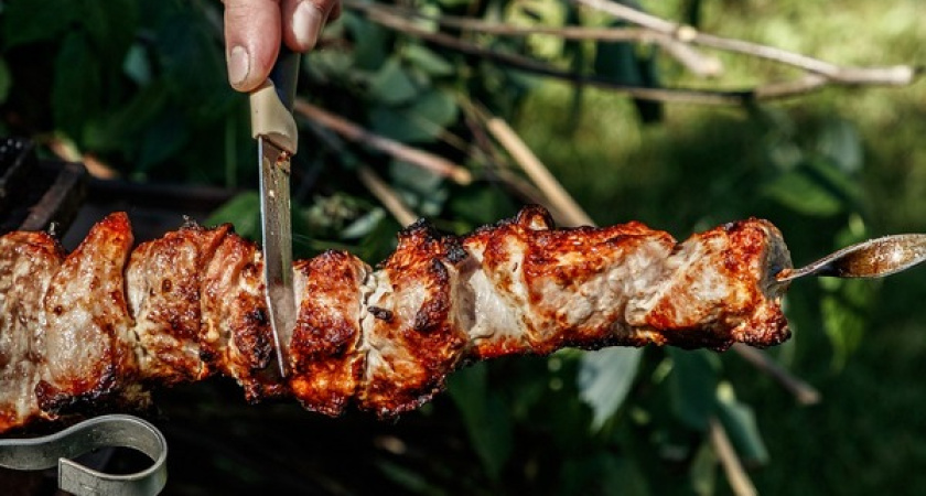 8% воронежцев предпочитают не есть шашлык
