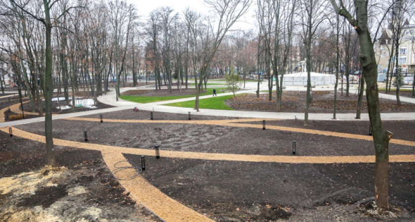 В Воронеже увеличили цену контракта на благоустройство детской зоны в парке «Орленок»