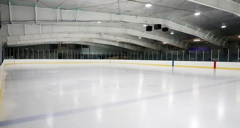 Строительство ледовой арены под Воронежем оценили в 384,8 млн рублей