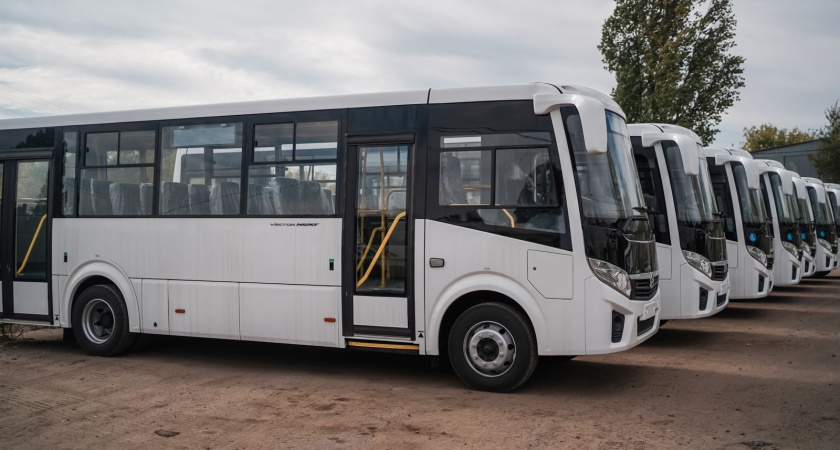 Общественники потребовали у воронежских властей срочных перемен в работе транспорта