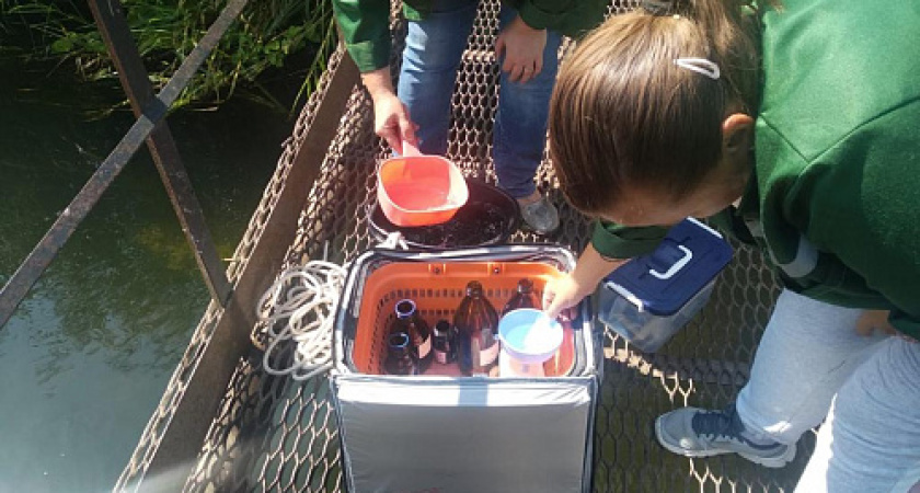 Росприроднадзор Черноземья проверил информацию о загрязнении рек Сухая Россошь и Черная Калитва