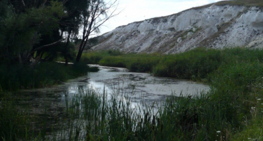 Фирма из Астрахани через жалобу «выбила» подряд на расчистку реки в Воронежской области