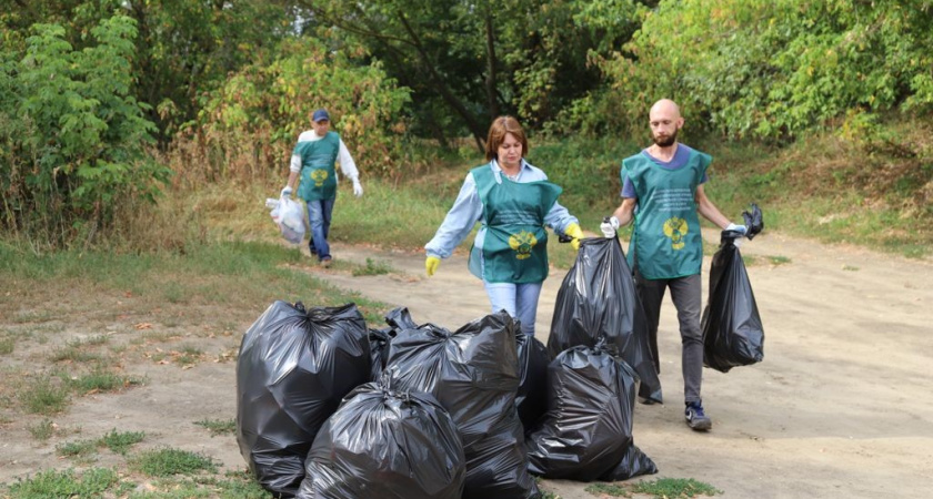 По Воронежем активисты избавили от мусора около 4 га берегов реки Дон