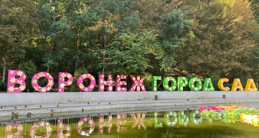 Александр Гусев объявил об открытии XI воронежского международного фестиваля «Город-сад»