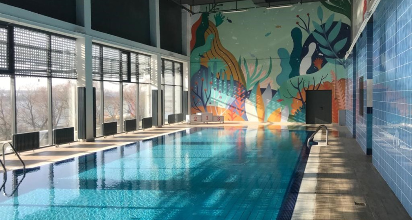 Проект нового спорткомплекса с бассейном в Воронеже подготовит местная фирма за 15,4 млн рублей