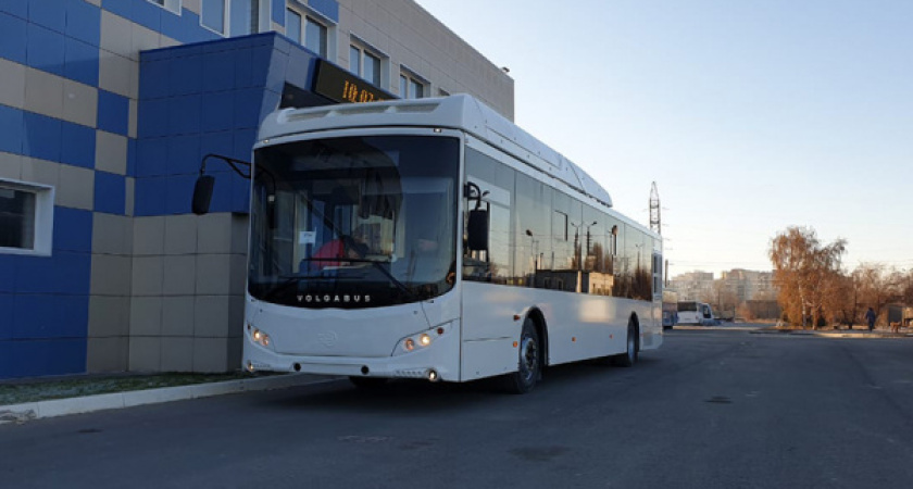 Воронежский перевозчик «Автолайн+» нарвался на штраф за нарушение закона