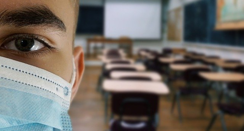 Воронежские школы перейдут на дистант