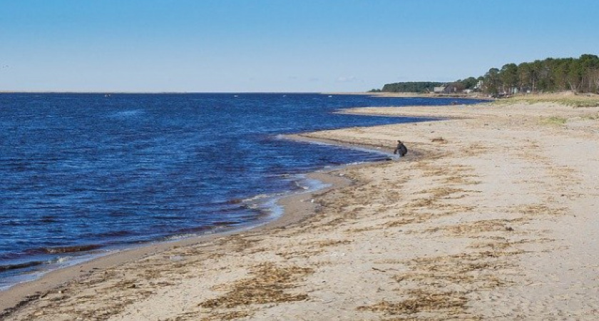 Почти половина воронежцев сократила расходы на отдых