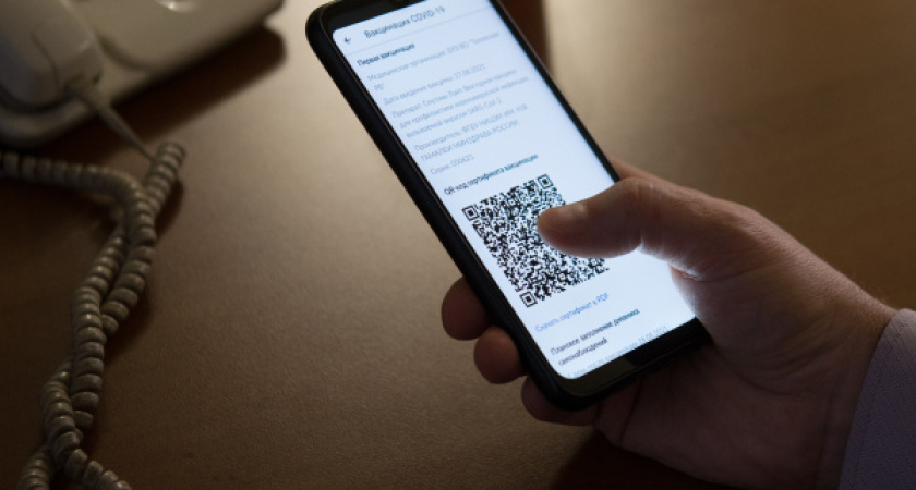 Воронежцы выступили против введения QR-кодов в маршрутках и автобусах