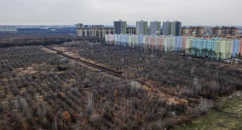 Воронежцы попросили власть сохранить память о солдатах и отменить застройку в яблоневом саду