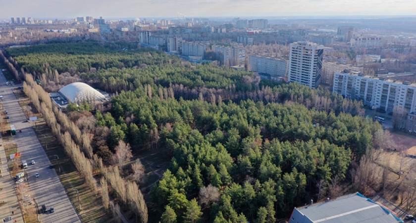 Вадим Кстенин сообщил, что реконструкцию парка «Танаис» запустят в любом случае