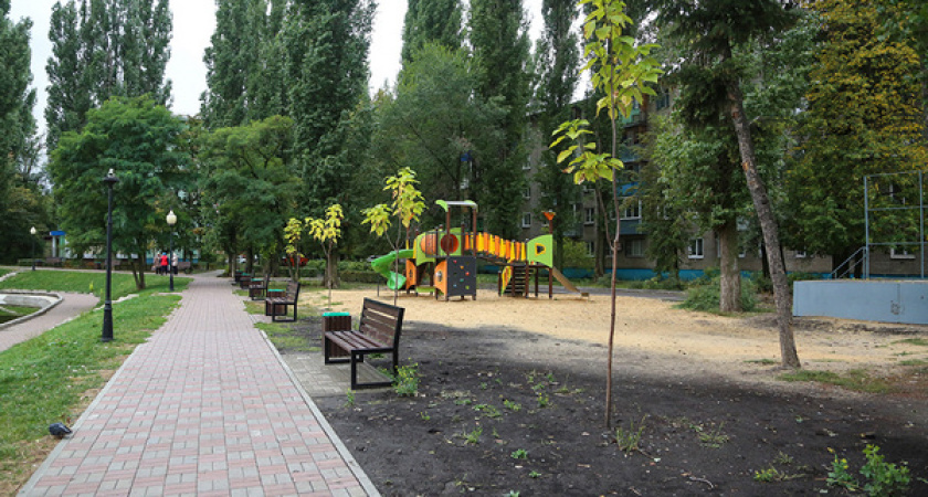 Глава города заострил особое внимание на теме озеленения и ухода за зелеными насаждениям