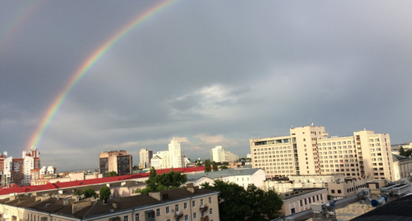 Администрация Воронежа проследит за уборкой незаконной рекламы с улиц города