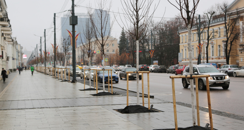 Воронежцам рассказали о правильной обрезке и поливе молодых деревьев