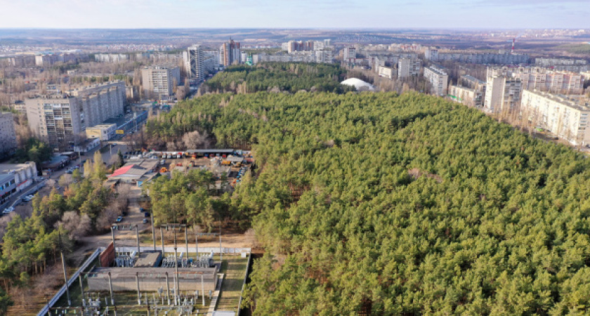 Потенциальный концессионер может вложить в воронежский парк «Танаис» 140 млн рублей