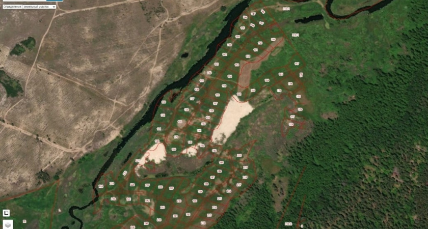 Собственники 80 участков у реки Усмань в Воронежской области присвоили себе территорию общего пользования