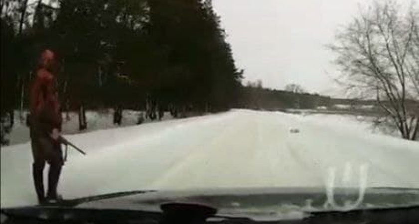 В воронежском микрорайоне Сомово охотник убил зайца прямо перед проезжающей машиной 