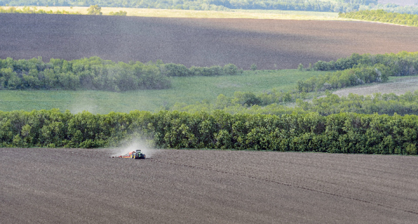 Губернатор Воронежской области просит рассмотреть вопрос о выделении региону почти 800 млн рублей