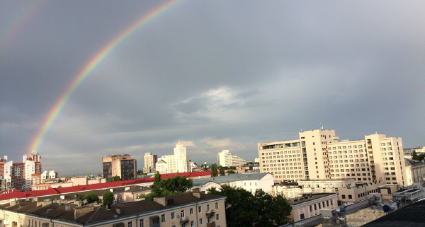 Воронежская область стала лидером по приросту мигрантов среди регионов Черноземья в 2021 году