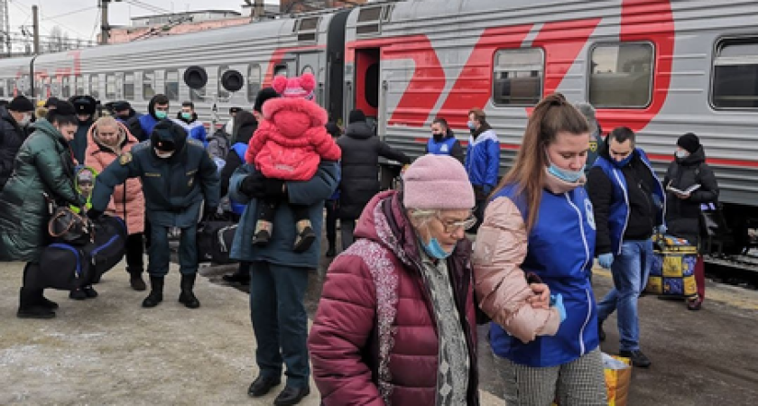 Правительство Воронежской области помогает жителям Украины укрыться от войны на родине
