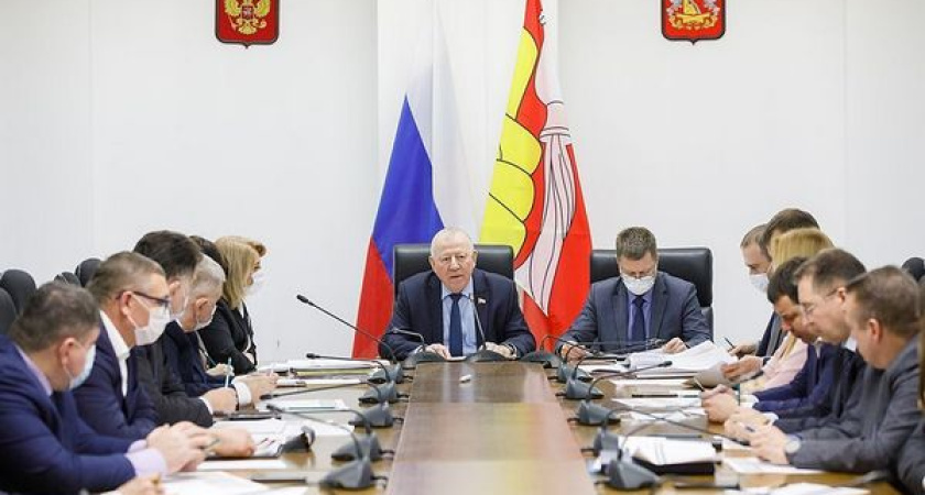 Депутаты Воронежской областной Думы обсудили реализацию региональной адресной инвестпрограммы