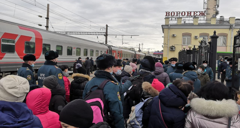 Более 100 беженцев из ЛДНР разместят в Воронеже