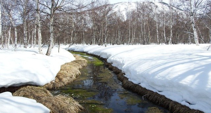 В Воронежской области 12 населенных пунктов оказались под угрозой затопления