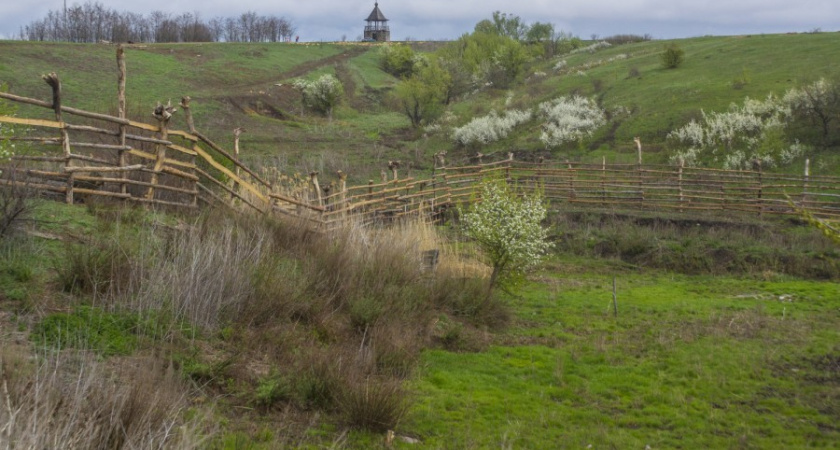 Директор Ломовского парка выразил надежду на отстройку территории к концу 2022 года