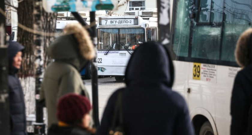 Высшая школа экономики низко оценила развитие воронежского пассажирского транспорта