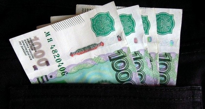 Депутаты Воронежской областной Думы стали жить лучше