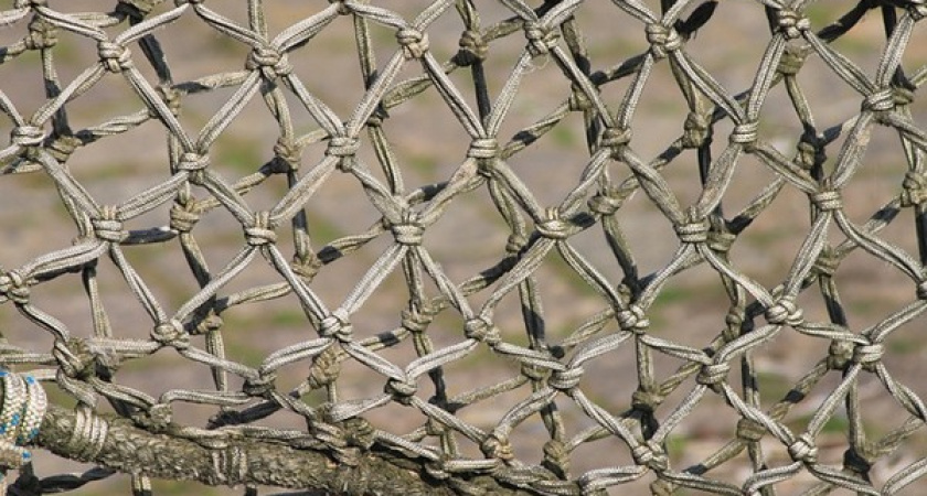 Рыболовы из Воронежской области попались на использовании запрещенных сетей длиной в 450 м