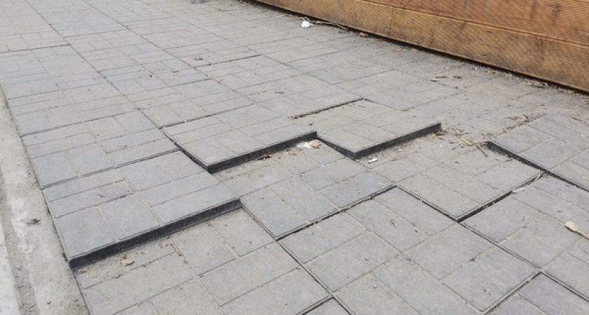 ОНФ нашел недостатки в центральном парке Нововоронежа