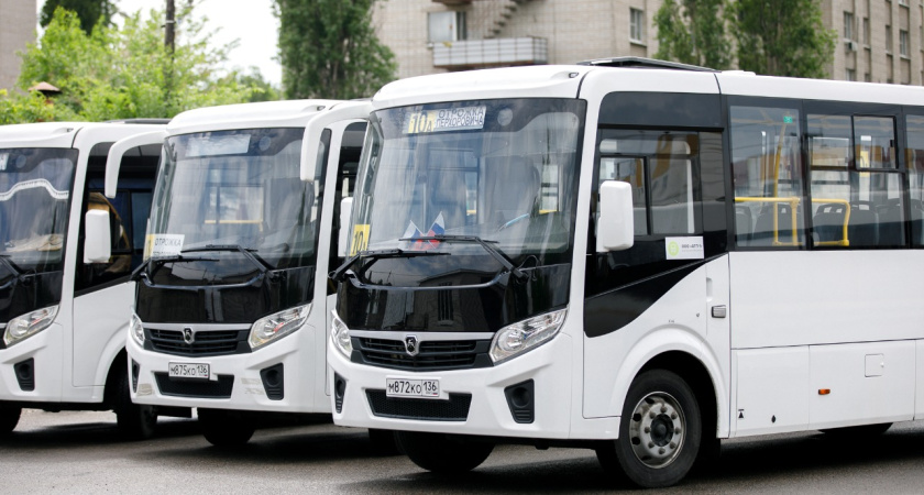 В Воронеже у семи маршрутов общественного транспорта изменятся порядковые номера