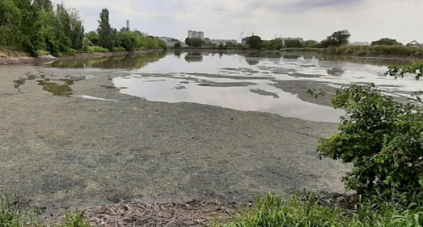 С воронежских ЛОСов планируют взыскать 725,76 млн рублей