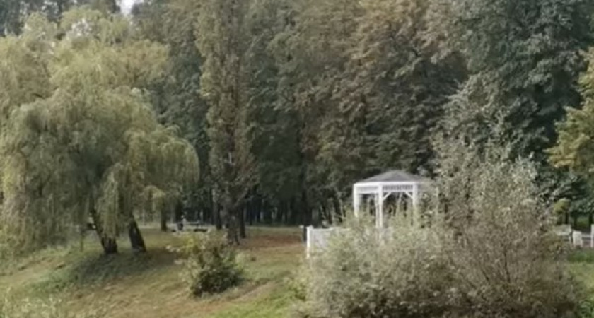 В Семилуках решили «похоронить» 210 млн рублей