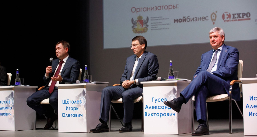 Владимир Нетесов рассказал о поддержке в Воронежской области проектов в сфере туризма