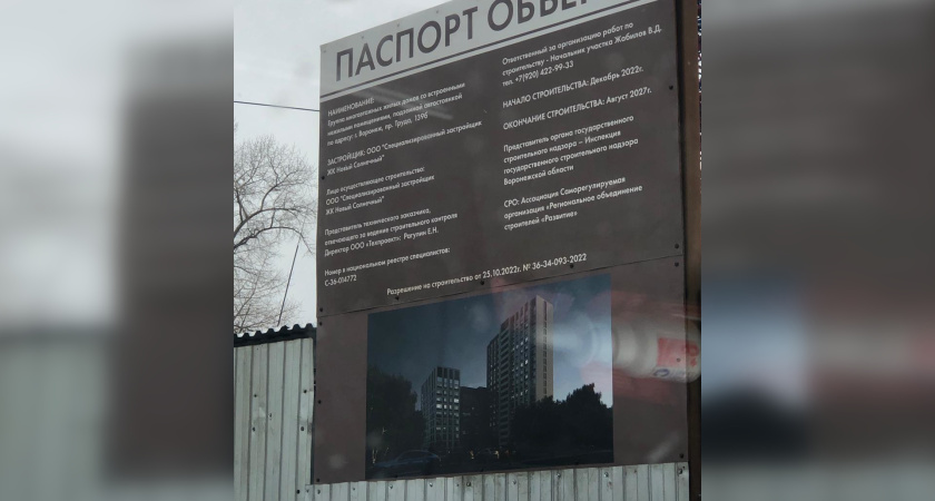 ЖБИ-2-Инвест и «Новый Солнечный» против воронежцев