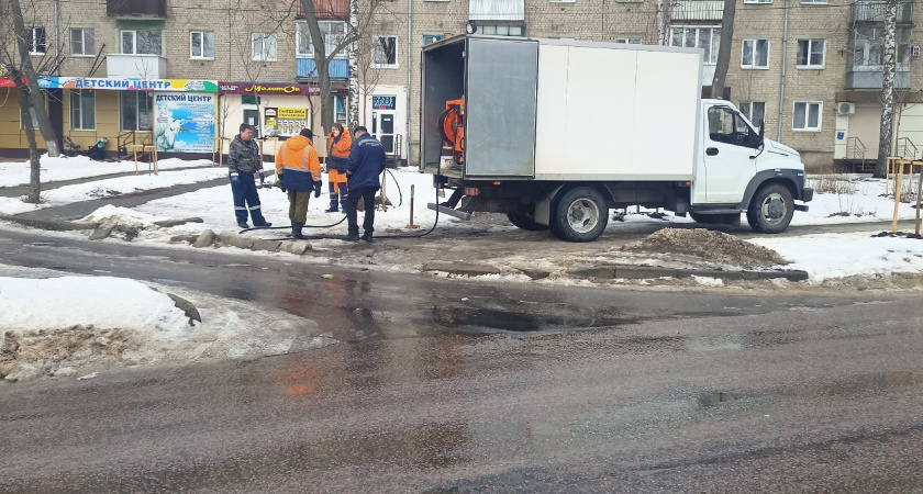 Фекалии и мусор топят дворы Березовой Рощи в Воронеже 
