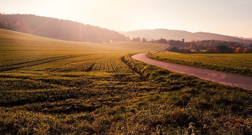 Прокуратура добилась возврата 333 га земли в воронежских Семилуках в федеральную собственность