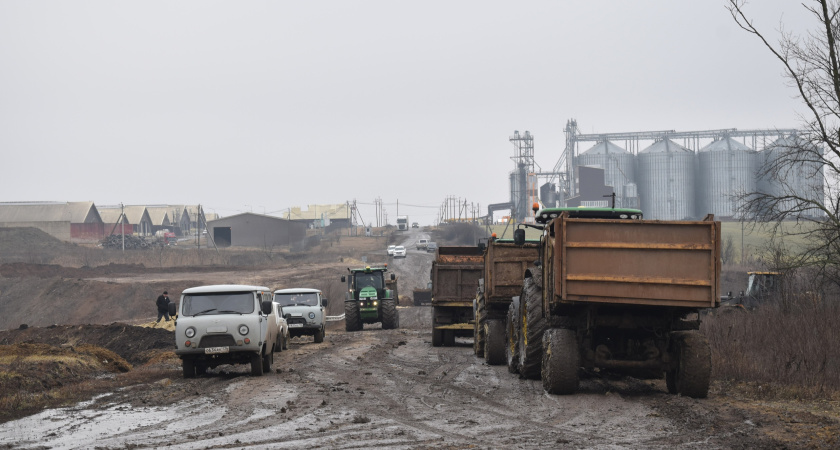 Животноводы не виноваты в потопе на юге Воронежской области