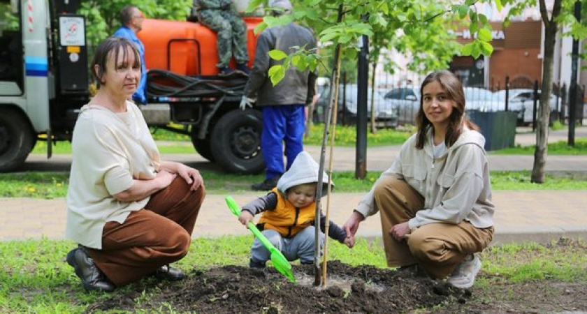 Журналистка ГТРК «Воронеж» потратила премию на озеленение сквера Дома офицеров