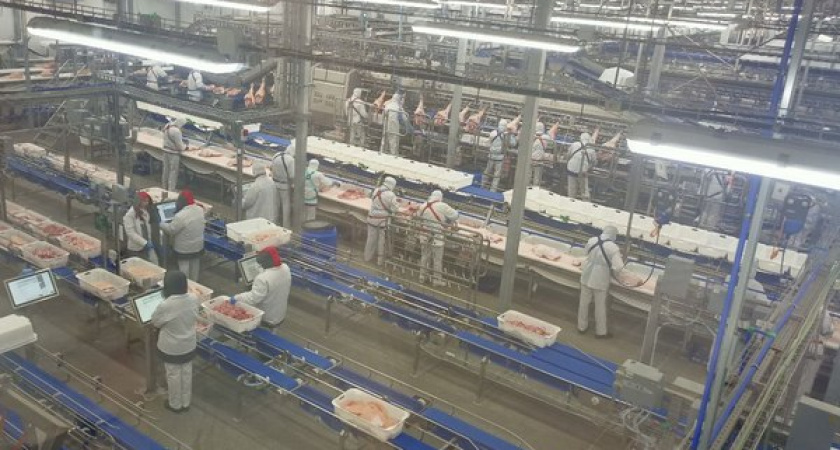 Только щетина не для продажи