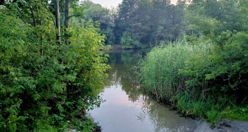 Воронеж оказался в списке самых популярных направлений для посещения заповедников