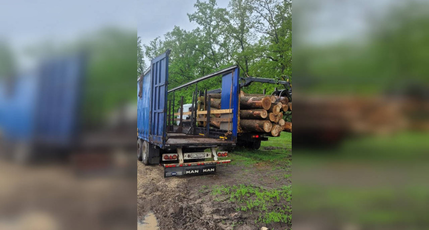 В Семилукском районе уничтожают местный природный заказник